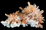 Orange Creedite Crystal Cluster on Fluorite - Durango, Mexico #51651-1